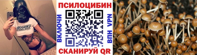 Купить закладки  Сычёвка  Псилоцибиновые грибы мицелий 