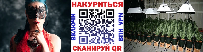 Каннабис марихуана Сычёвка